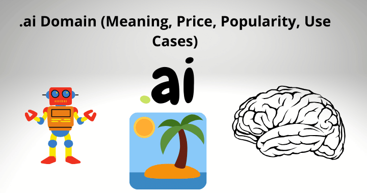 .ai Domain (Meaning, Price, Popularity, Use Cases)