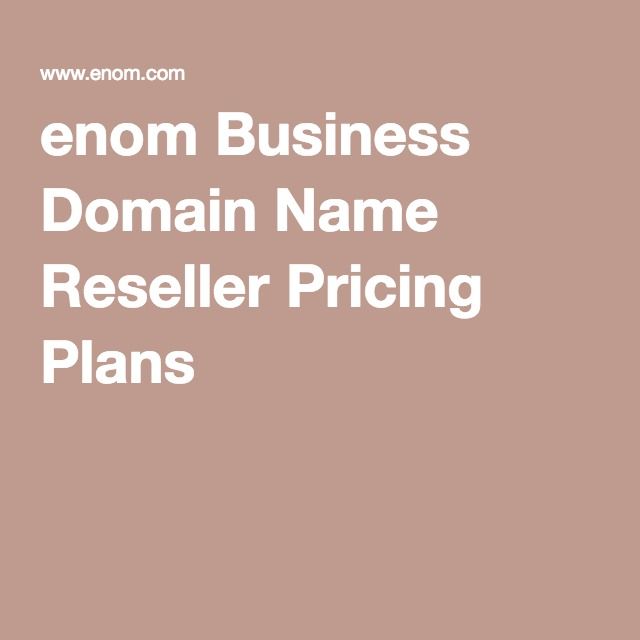 Domain Name Reseller Business