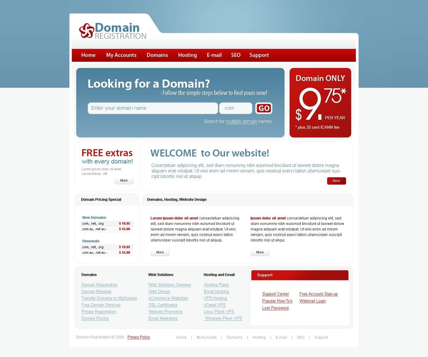 Domain Registrar Website Template #25362