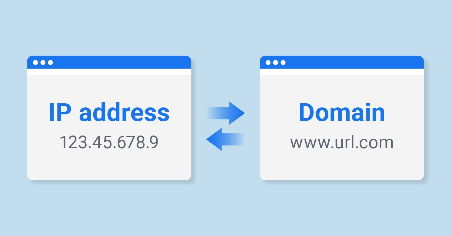 Domain to IP Converter: Find IP Address of Any Website
