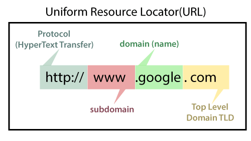 Domain vs Website: it