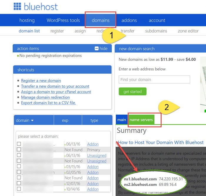Find your domain name servers with Bluehost  Better Host ...