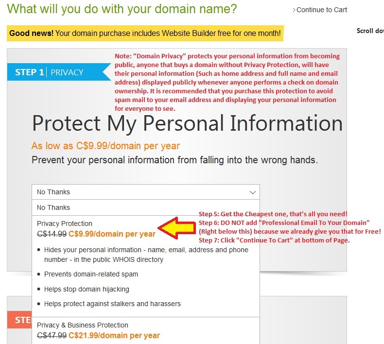 Godaddy Domain Ownership Protection