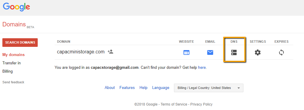 Google Domains DNS Settings