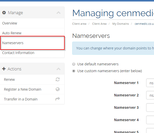 How can I change the nameservers for my Domain Name?