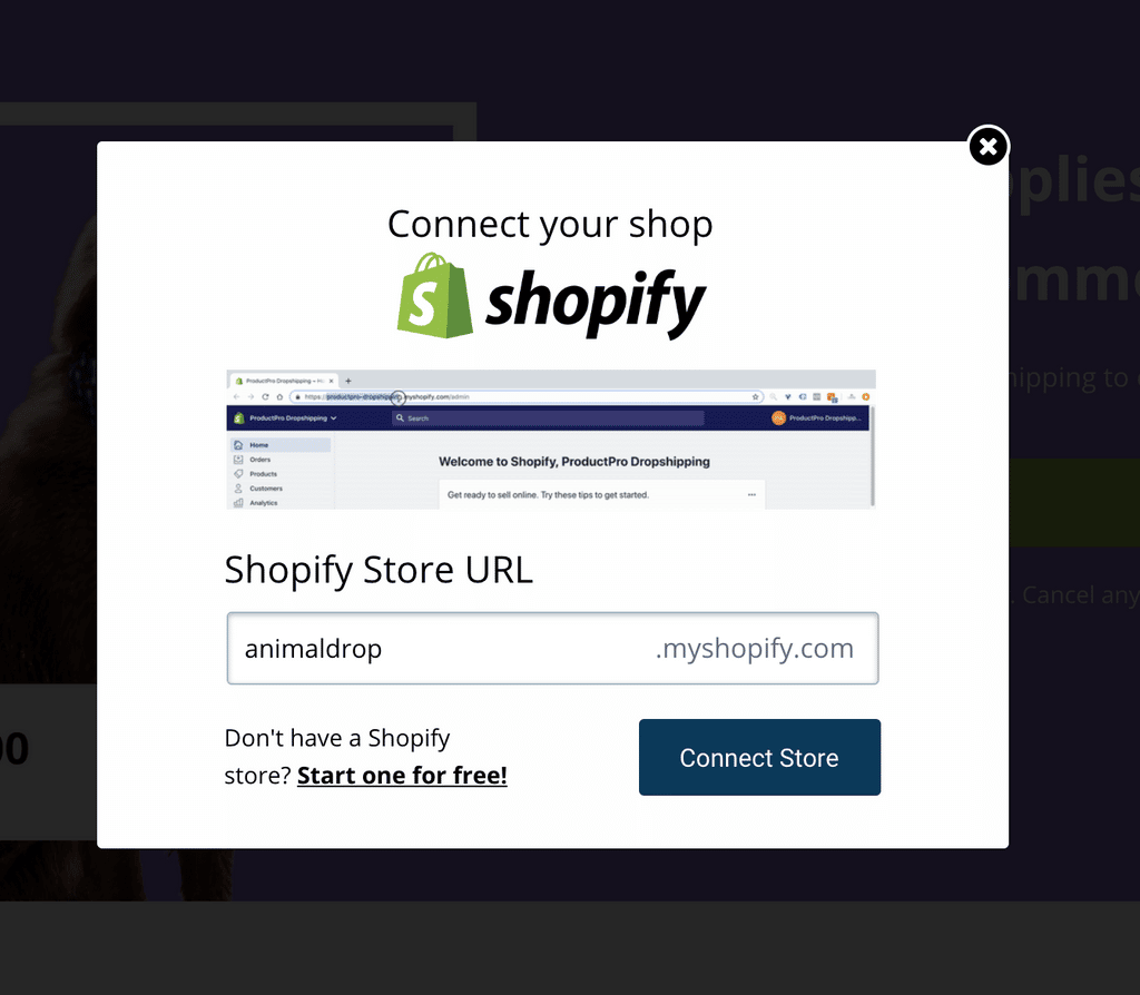 How can I find my Shopify Store URL?  AnimalDrop