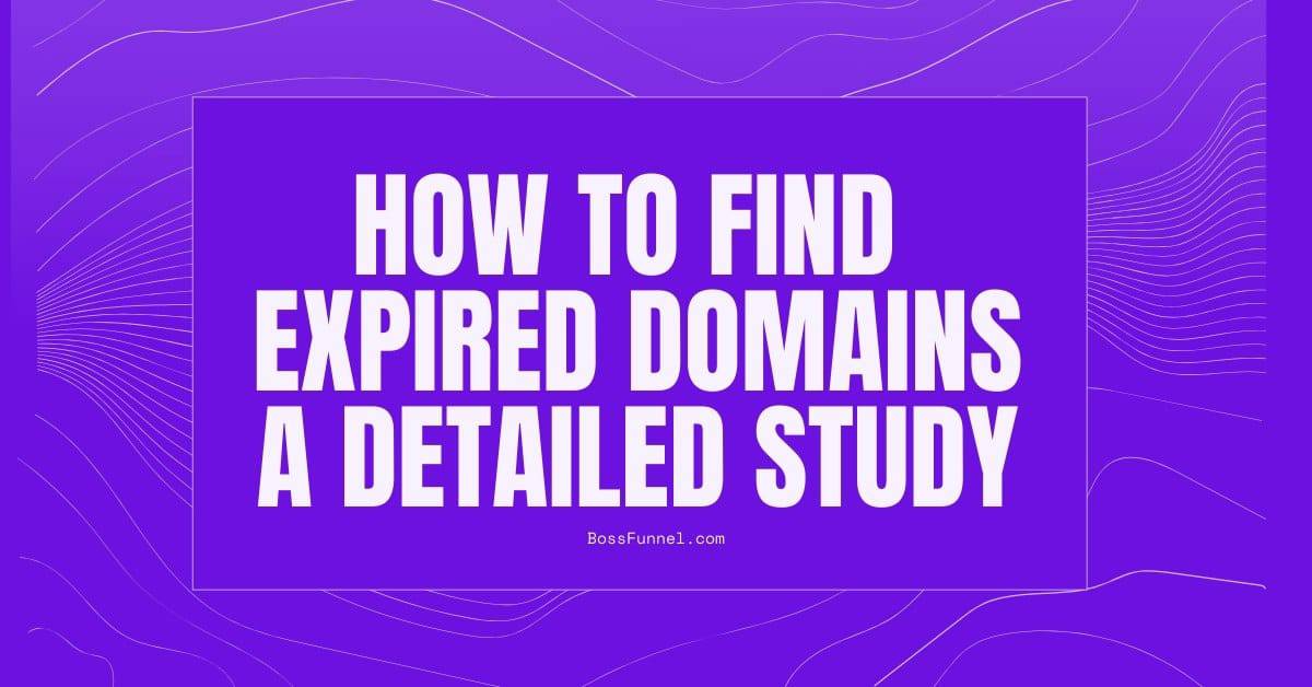 How to Find Expired Domains: A Detailed Study