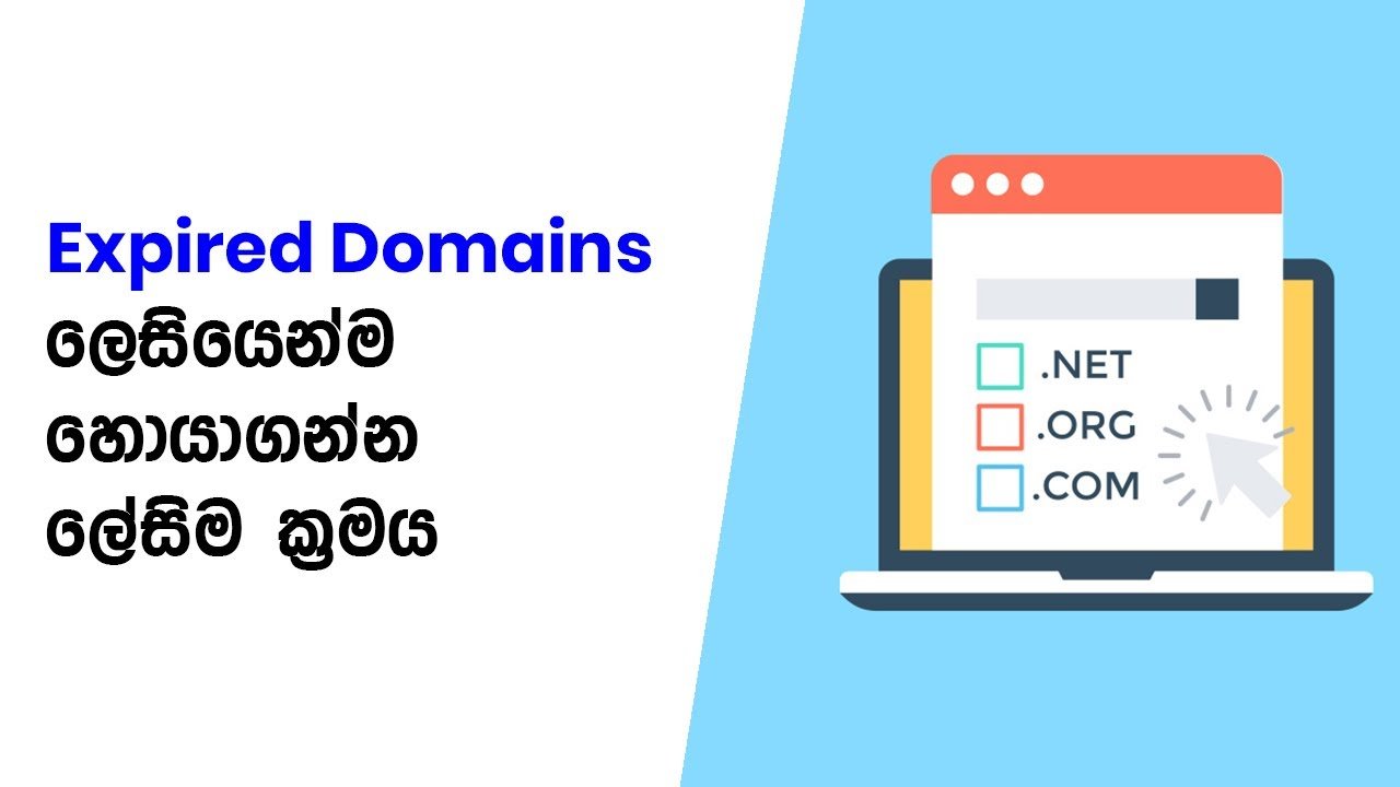 How to Find Recently Expired Domain Names