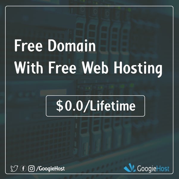 How To Get Free Domain Name And Web Hosting Live Example With Website ...