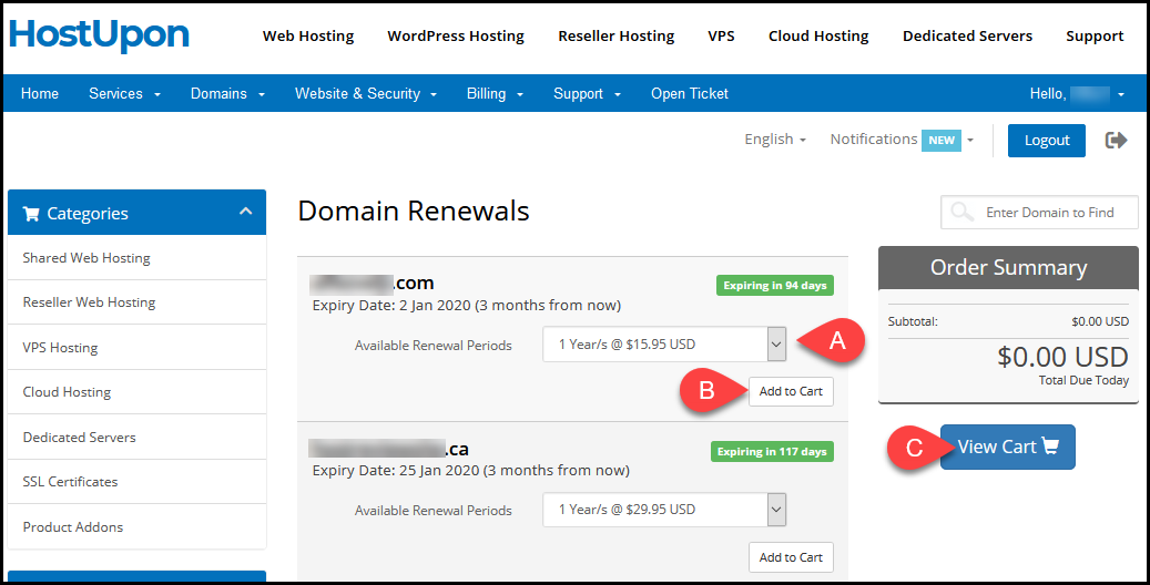 How to renew Domain Names