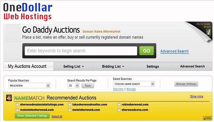 How to sell the domain on Godaddy Auction