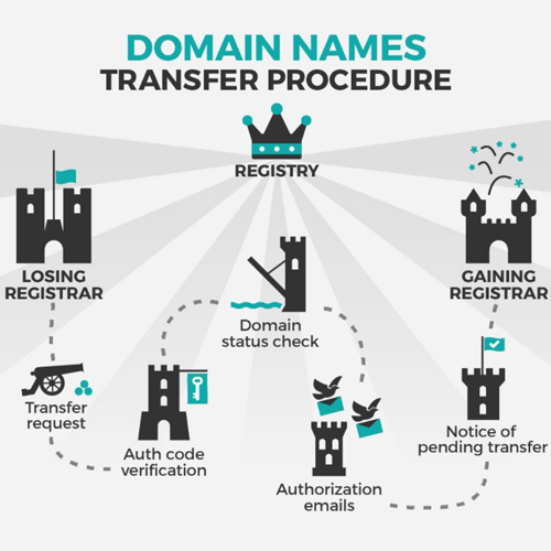 How to transfer domain name for beginners
