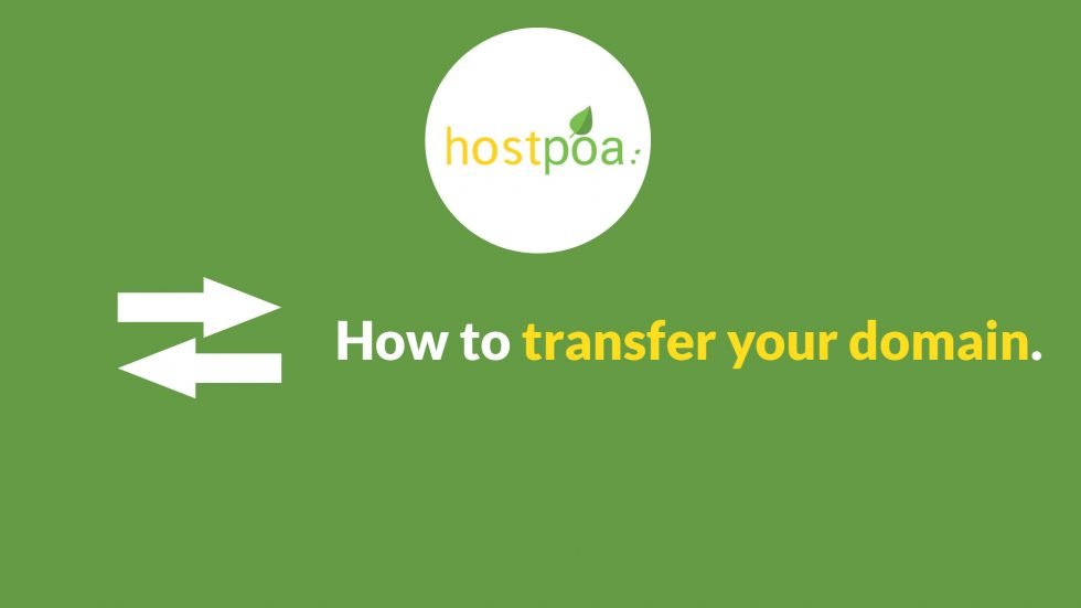 How to transfer my domain name