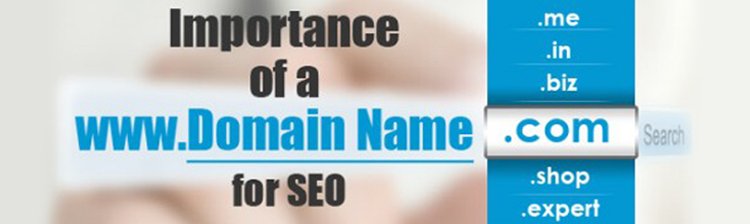 Importance of a Domain Name for SEO
