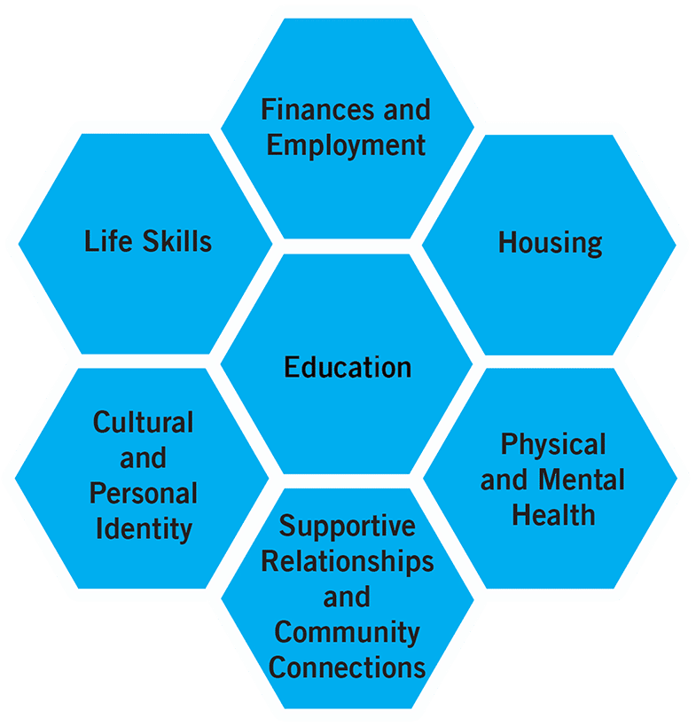 The 7 Life Domains for Students by Students: Webinar and Toolkit ...