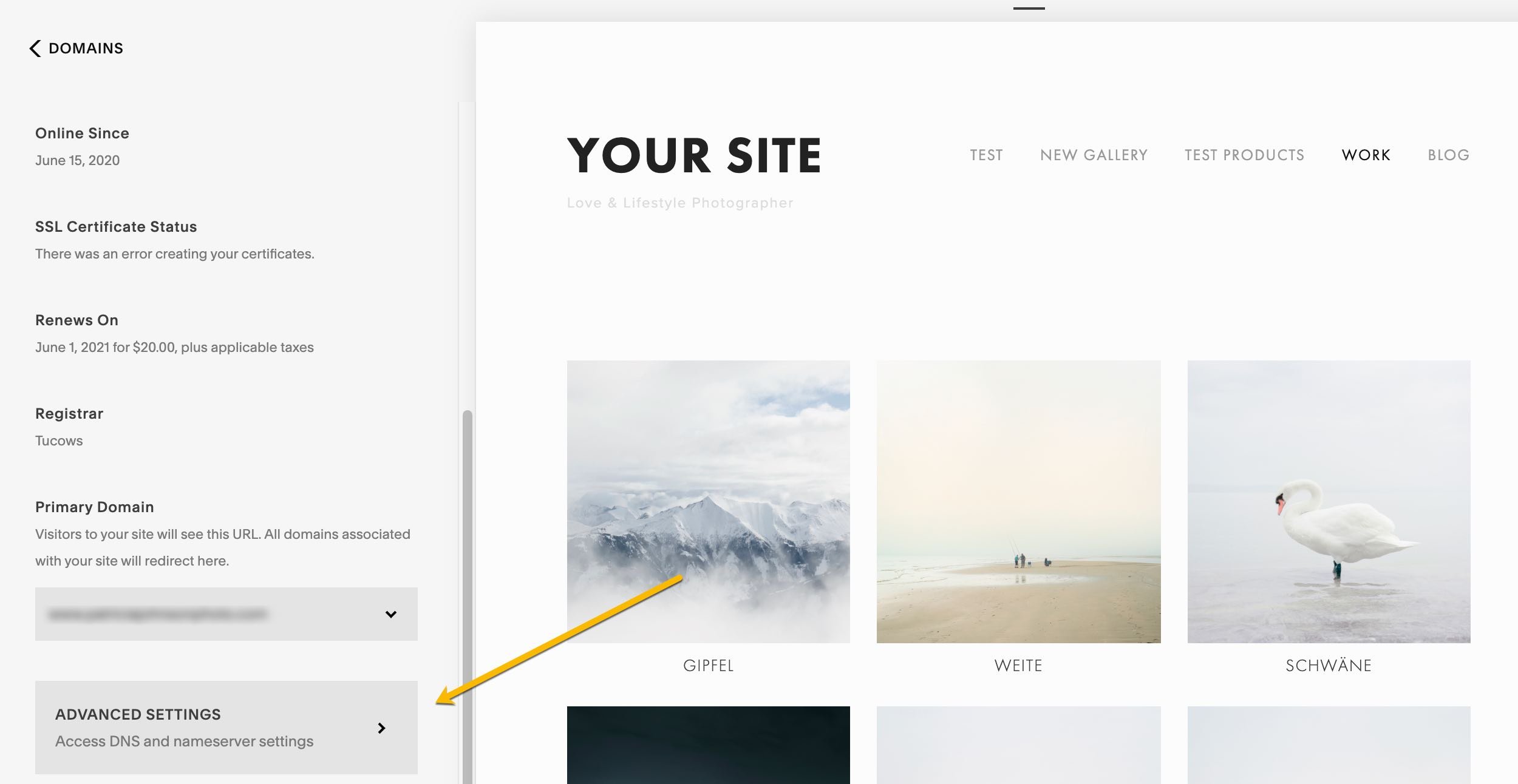 Using a Squarespace Domain for your Pixieset Website  Pixieset