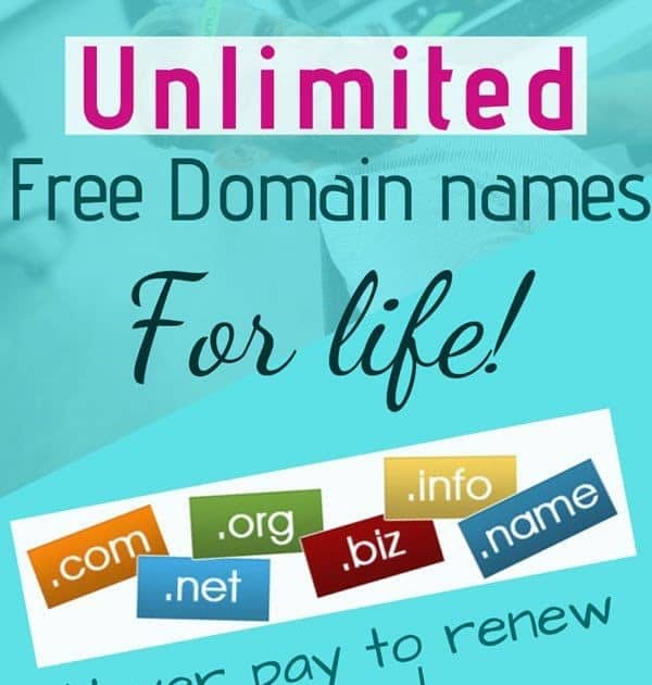 What Does A Domain Name Cost