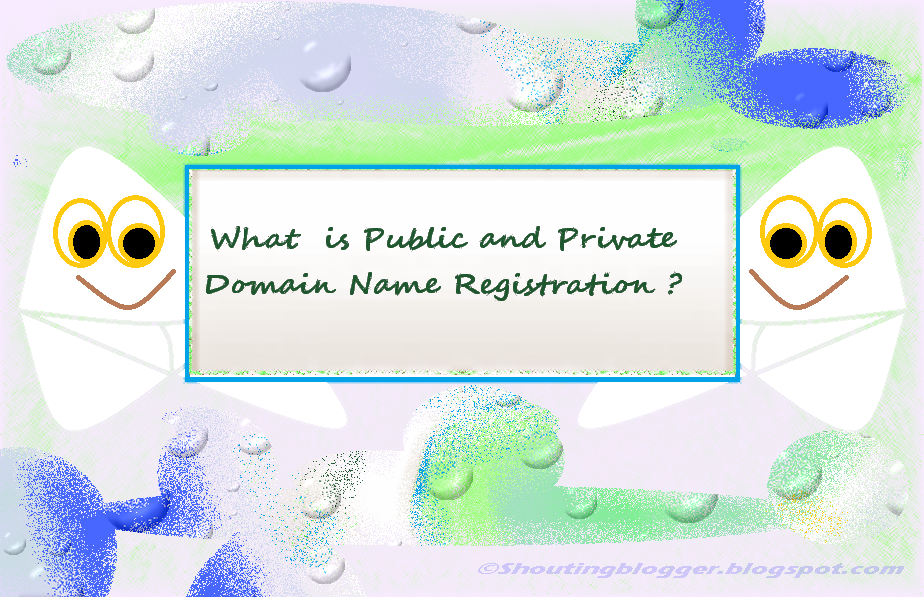 What Is Private And Public Domain Registration