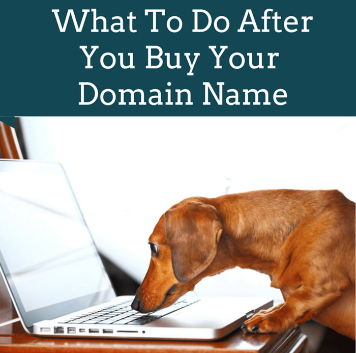 What to Do After You Buy Your Domain Name