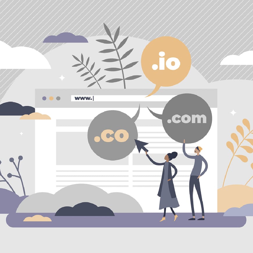 Why Do Companies Use the .io Domain Extension?